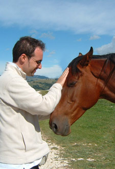 Workshop Reiten