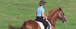 Workshop Reiten 1
